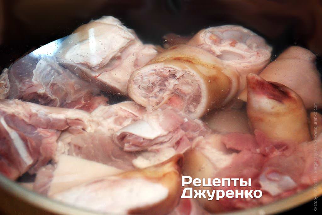 Рецепты холодца, как приготовить студень из свинины, говядины, курицы